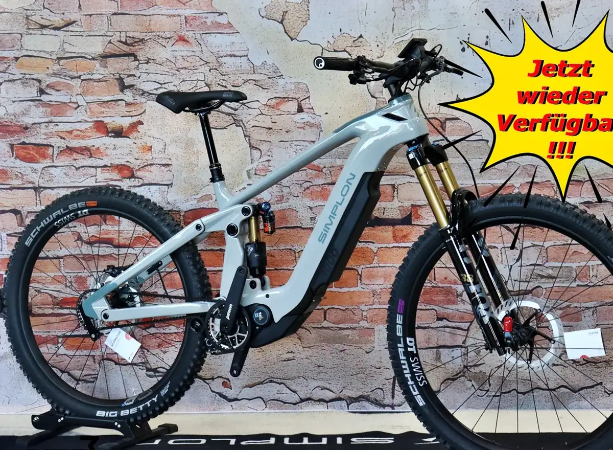 Simplon Rapcon Pinion E1.12 Ultimate – Ansicht 2