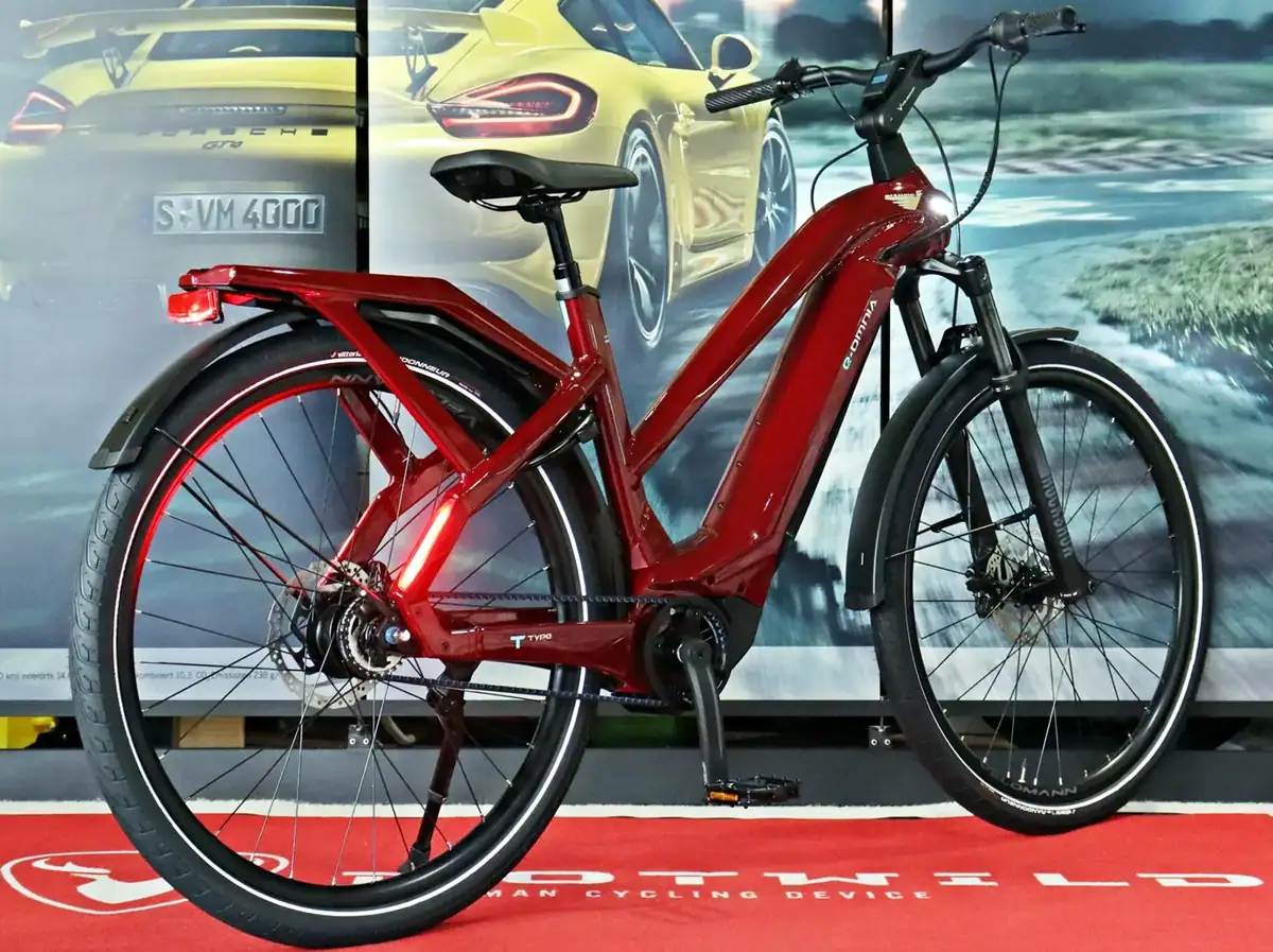 Bianchi E-Omnia T Type Step Thru – Ansicht 6