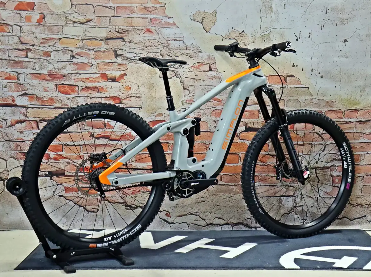 Simplon Rapcon Pinion E1.12 Core – Ansicht 4