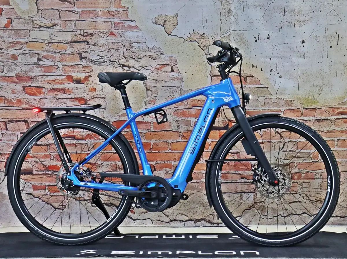 Simplon Chenoa:e High Rohloff E14 ABS – Ansicht 3