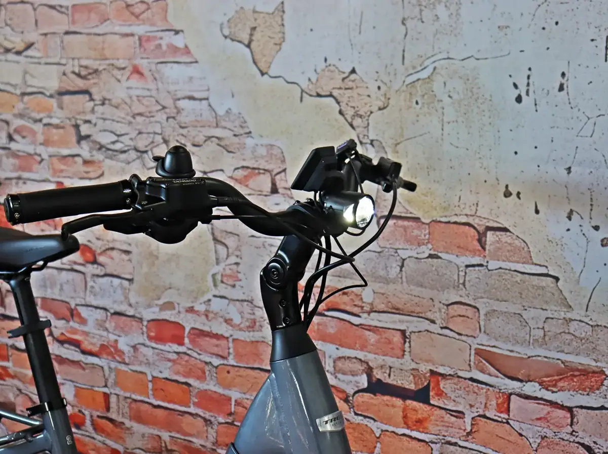 Trek Fetch+ 2 E-Lastenrad – Ansicht 6